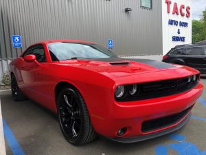 Autobody Service Albany Car Collision Repair Glenmont Bethlehem TACS